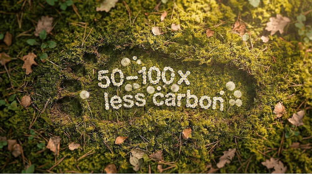 Decarbonising clinical pathways with Dora